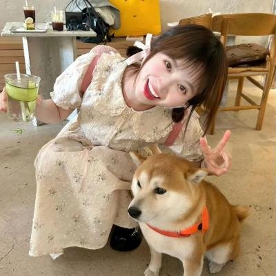 蒂科与鲨鱼